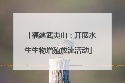 福建武夷山：开展水生生物增殖放流活动